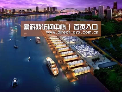 案例展示八