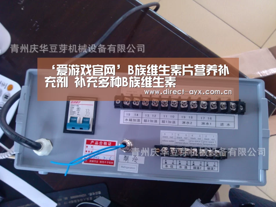 ‘爱游戏官网’B族维生素片营养补充剂 补充多种B族维生素(图2) 爱游戏官网