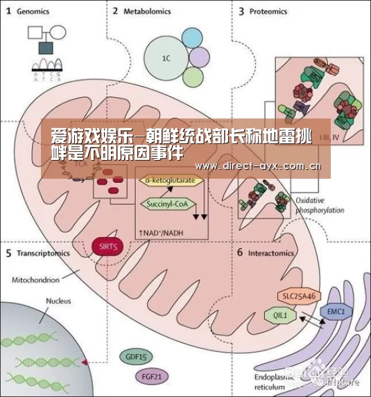 爱游戏娱乐