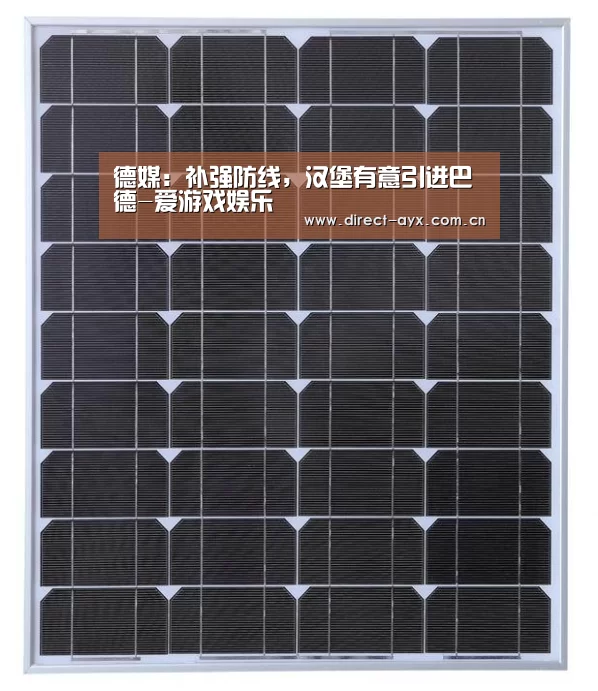 德媒:补强防线,汉堡有意引进巴德-爱游戏娱乐(图3) 爱游戏app