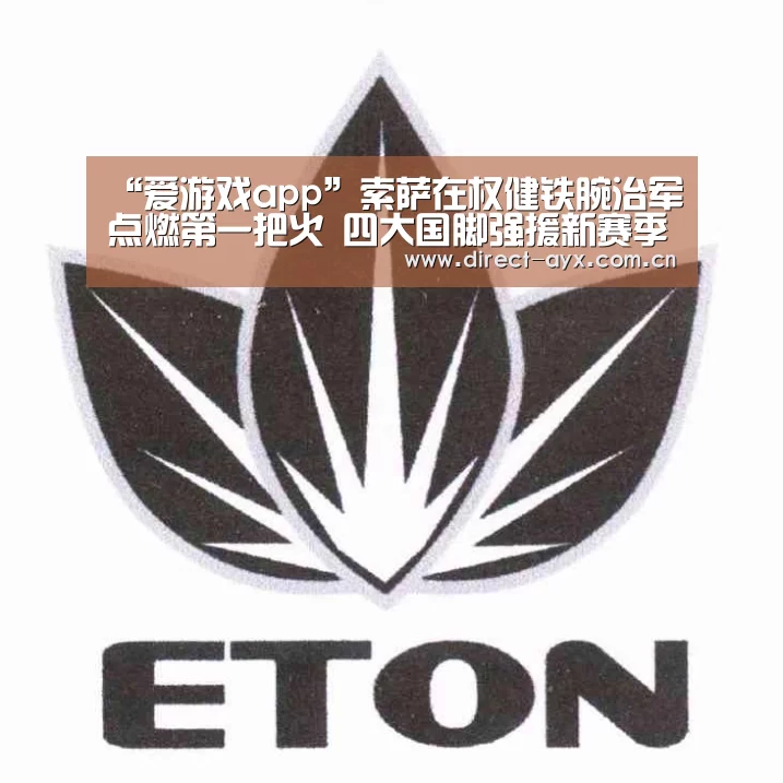 爱游戏娱乐