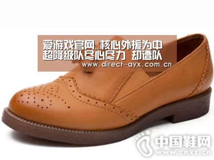 爱游戏官网_核心外援为中超降级队尽心尽力 却遭队内当红国脚喷的一无是处(图3) 爱游戏官网