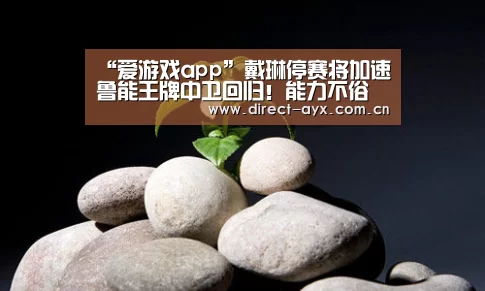 “爱游戏app”戴琳停赛将加速鲁能王牌中卫回归!能力不俗曾深受德甲名帅器重(图3) 爱游戏娱乐