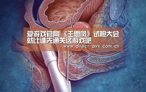 爱游戏官网|《王思凤》试胆大会就比谁先通关这游戏吧(图1) 爱游戏官网